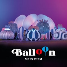 Balloon Museum Napoli - Pop Air - SERA Mostra D'Oltremare
