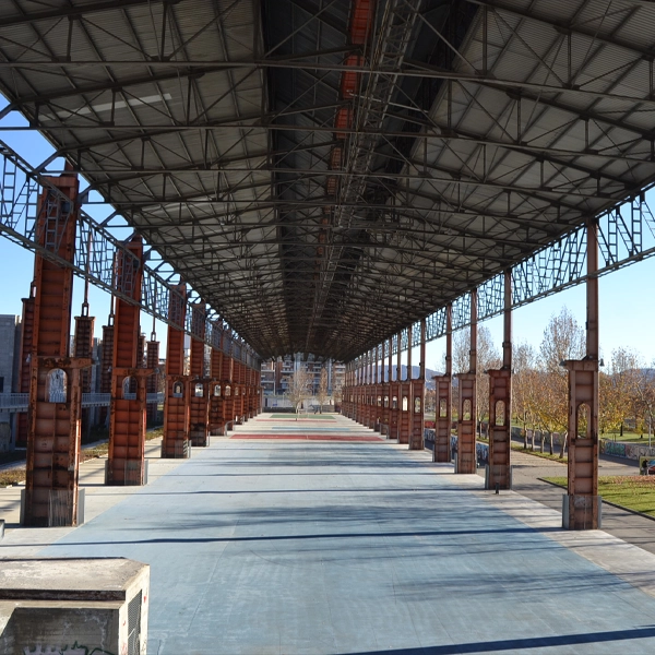 Arena Parco Dora