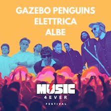 Gazebo Penguins - Elettrica - Albe SvevArena