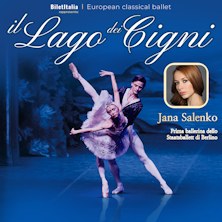 Il Lago dei Cigni Teatro Team