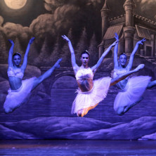 Il Lago dei Cigni Teatro Metropolitan