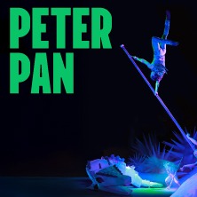 Farfadais - Peter Pan Pala De Andre'