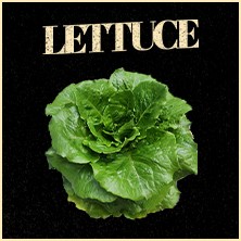 Lettuce Santeria Toscana 31