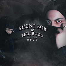 Silent Bob and Sick Budd Sanbapolis