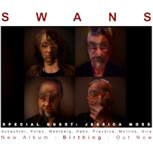 Swans Auditorium