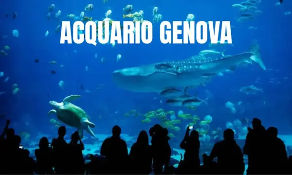 Acquario Genova Biglietti