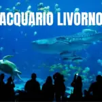 ACquario Livorno Biglietti