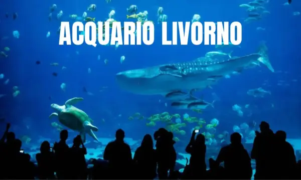 ACquario Livorno Biglietti