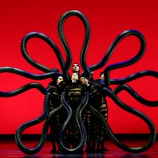 Botanica Season 2 Teatro Comunale Citta di Vicenza - Sala Maggiore