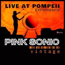 Pink Sonic - Vintage Teatro Agnelli
