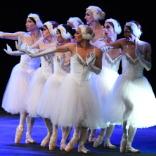 Les Ballets Trockadero De Monte Carlo Teatro Duse Bologna