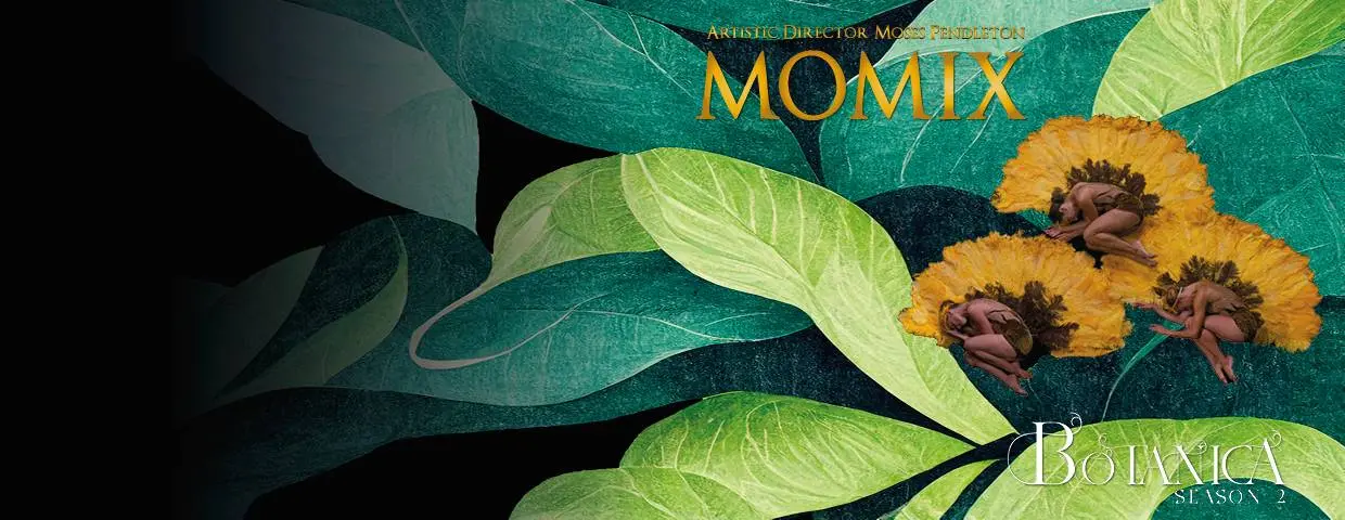 Momix Botanica Season 2 2026 a Verona: date e biglietti